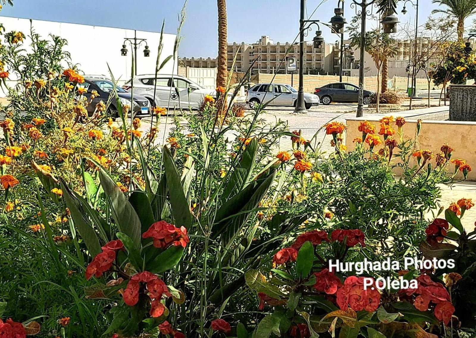 Apartament Princess Hurghada